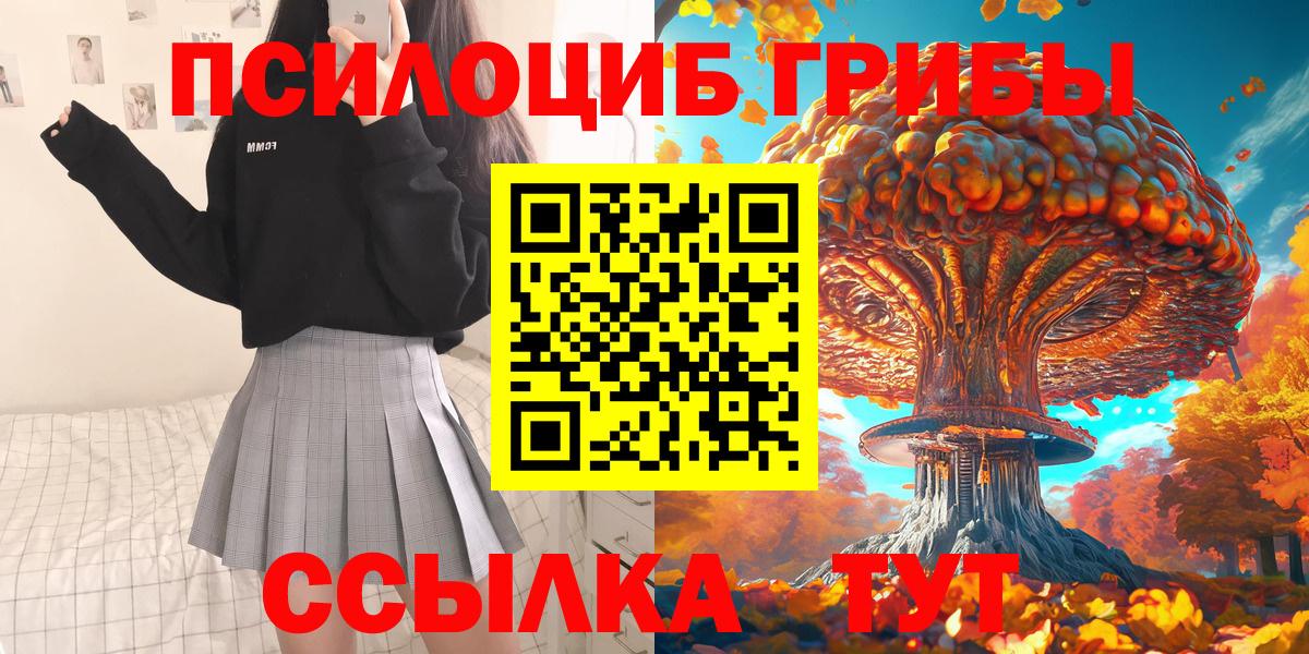 Галлюциногенные грибы Cubensis  Псилоцибиновые грибы GOLDEN TEACHER  наркошоп  Вход с VPN  Тимашёвск 