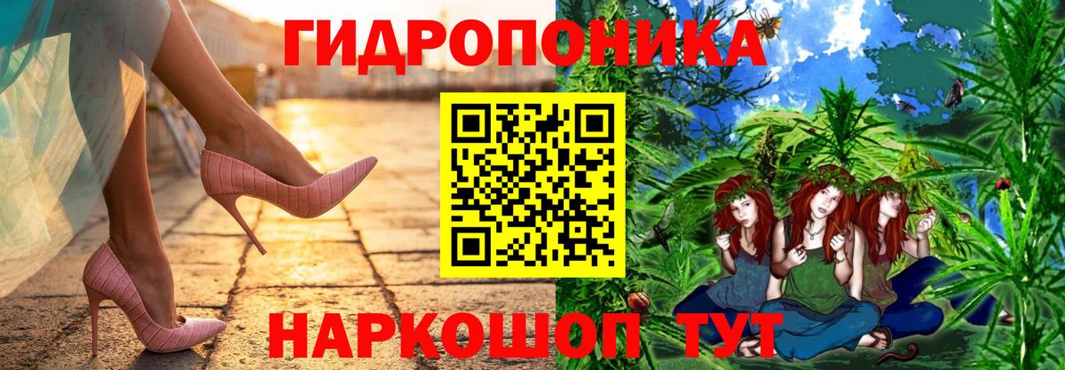 Каннабис ГИДРОПОН  Шишки марихуана Bruce Banner  Тимашёвск  Вход с VPN 